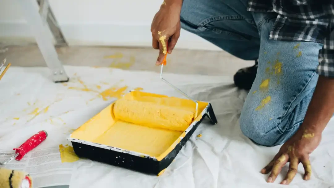 MSD Contractors - Painting and Finishing